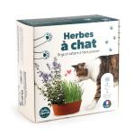 Radis et Capucine - Coffret Herbe à Chat - MEDIA_3D